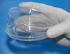 TC-treated PS/PP Culture Dish