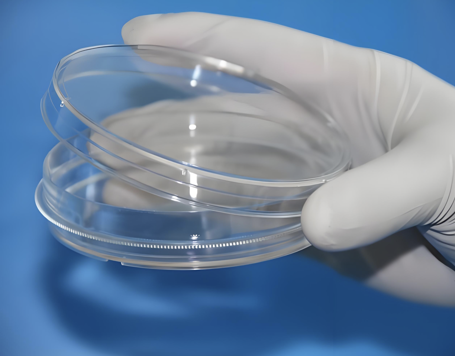 TC-treated PS/PP Culture Dish