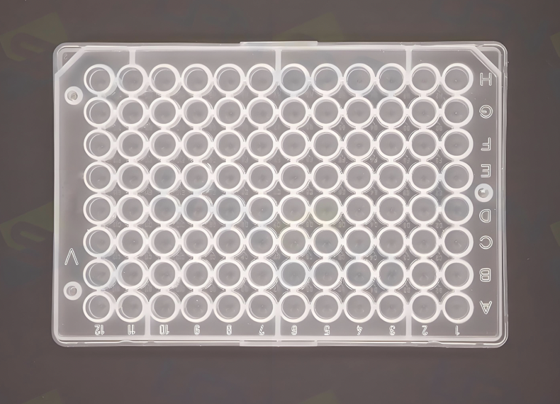  Electrophoresis PP/PS Gel Tray
