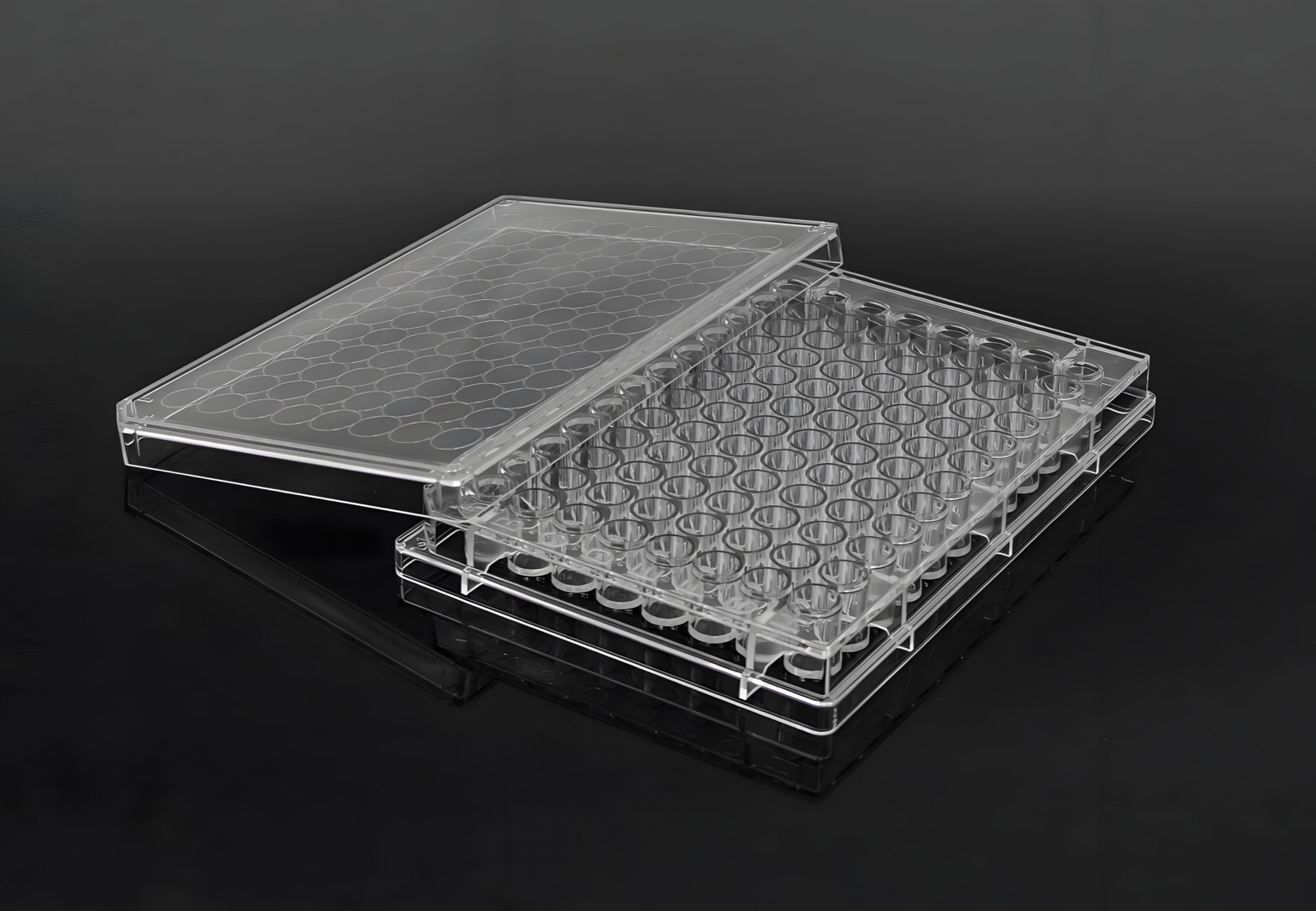 injection molding plastics Nano-Textured Molded PP/PE Cell Culture Plate 