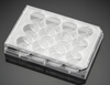 injection molding plastics Nano-Textured Molded PP/PE Cell Culture Plate 