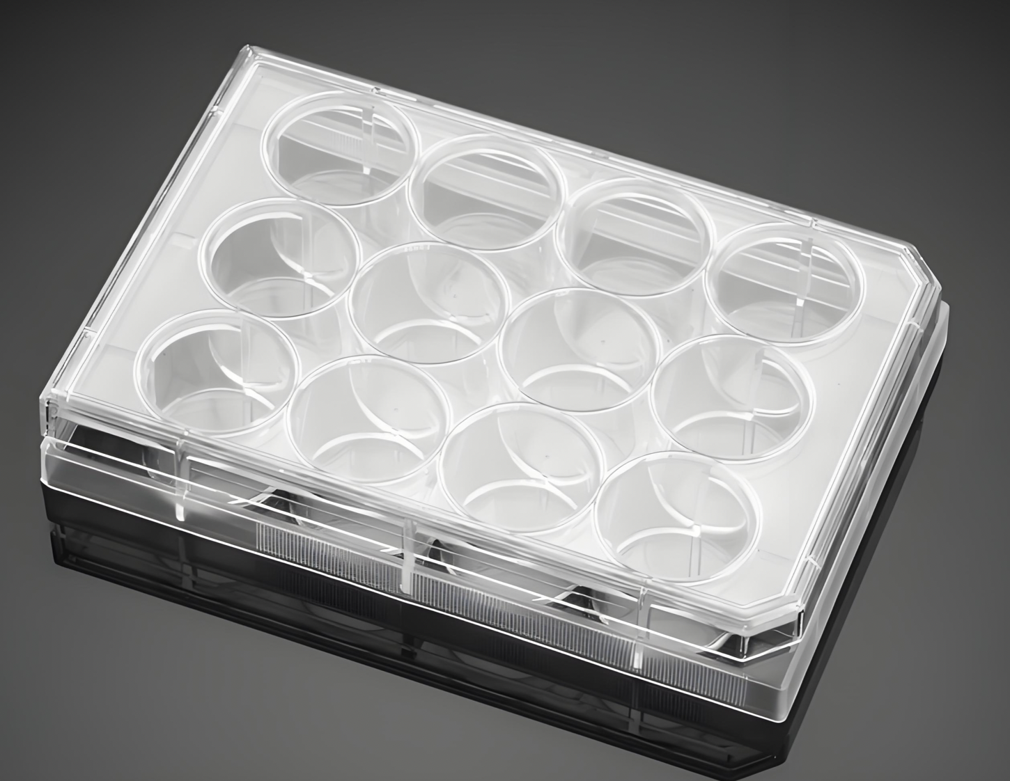 injection molding plastics Nano-Textured Molded PP/PE Cell Culture Plate 