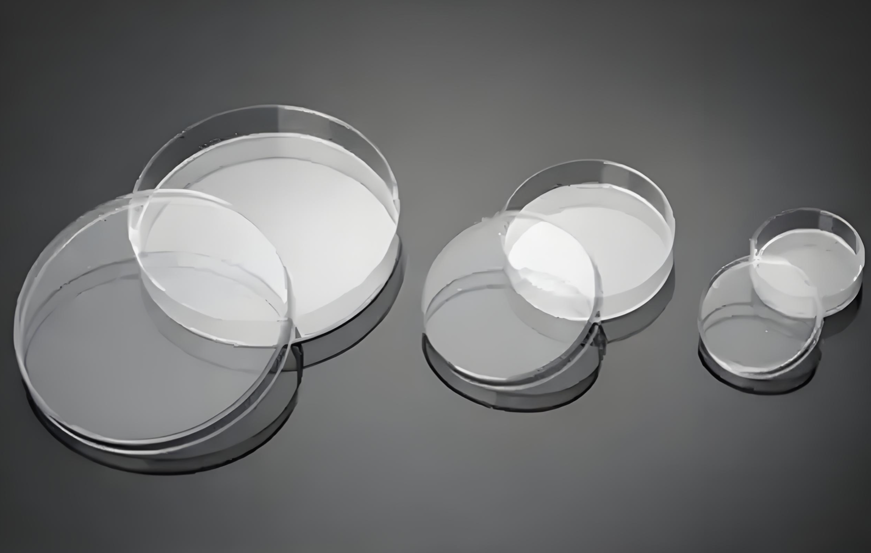 abs injection molding Animal Testing Exempt COP/PS Culture Dish al 